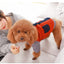 Cozy Cotton Dog Sweater - Dog Hugs Cat