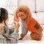 Cozy Cotton Dog Sweater - Dog Hugs Cat