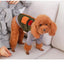 Cozy Cotton Dog Sweater - Dog Hugs Cat