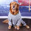 Cozy Cotton Long Sleeve Dog Shirt - Perfect Fit For Medium And Large Breeds - Dog Hugs Cat