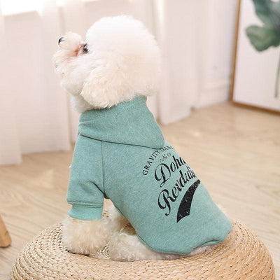 Cozy Cotton Pet Sweater: A Casual Essential For Your Furry Friend - Dog Hugs Cat