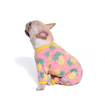 Cozy Cotton Stretch Pet Sweater - Comfy And Stylish Apparel For Your Furry Friend - Dog Hugs Cat