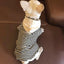 Cozy Cotton Sweatshirt For Fashionable Small Dogs - Dog Hugs Cat