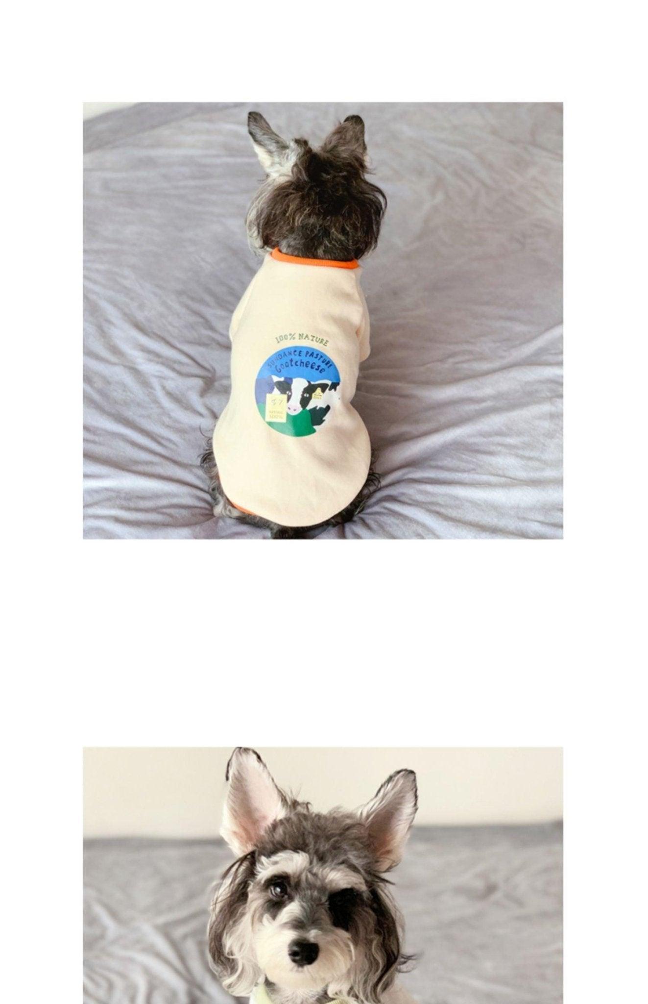 Cozy Cow Sweater For Petite Feline Friends - Spring And Autumn Edition - Dog Hugs Cat