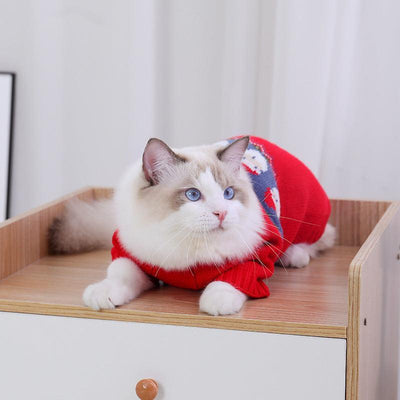 Cozy Festive Pet Sweater - Perfect For Pups And Kitties! - Dog Hugs Cat