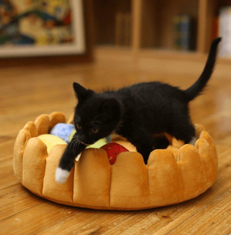 Cozy Fruit Tart Pet Bed - A Sweet Retreat For Your Furry Friends - Dog Hugs Cat