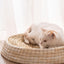 Cozy Haven: Handcrafted Felt House Cat Bed - Dog Hugs Cat