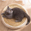 Cozy Haven: Handcrafted Felt House Cat Bed - Dog Hugs Cat