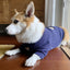 Cozy Knit Pet Sweater - Stylish Dog Clothing For Ultimate Comfort - Dog Hugs Cat