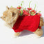 Cozy Knitted Wool Dog Sweater - Dog Hugs Cat