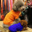 Cozy Knitted Wool Dog Sweater - Dog Hugs Cat