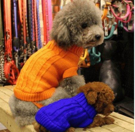 Cozy Knitted Wool Dog Sweater - Dog Hugs Cat