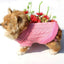 Cozy Knitted Wool Dog Sweater - Dog Hugs Cat