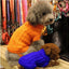 Cozy Knitted Wool Dog Sweater - Dog Hugs Cat