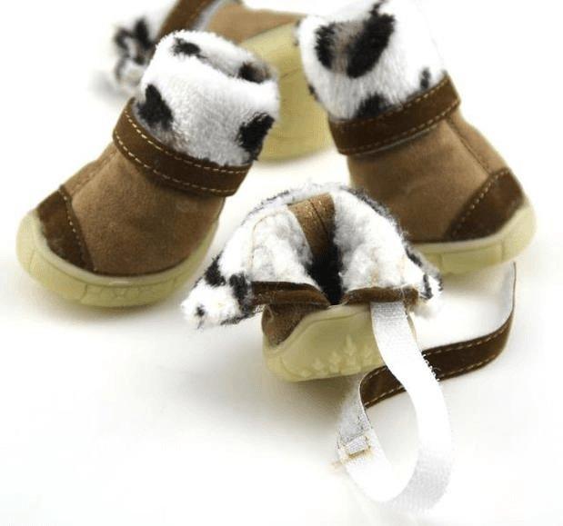 Cozy Paws: Stylish Cotton Shoes For Your Furry Friend - Dog Hugs Cat