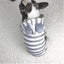 Cozy Striped Cotton Pet Sweater - Dog Hugs Cat