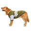 Cozy Striped Hooded Dog Sweater - Dog Hugs Cat