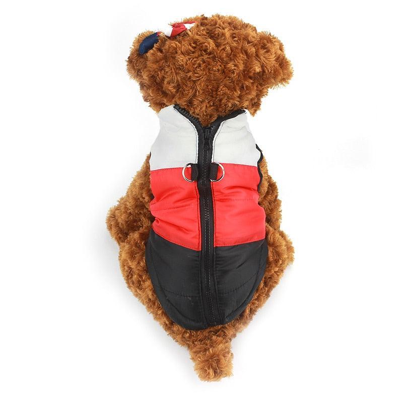 Cozy Striped Pet Jacket With Traction Buckle - Perfect For Autumn And Winter! - Dog Hugs Cat