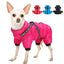 Cozy Winter Pet Apparel: Stylish Clothes For Your Furry Friend - Dog Hugs Cat