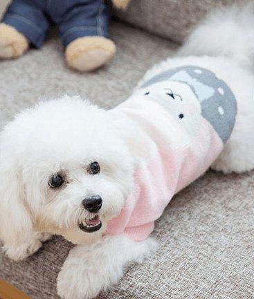 Cozy Woolen Pet Sweater - Stylish And Warm Dog Clothes For All Seasons - Dog Hugs Cat