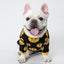 Cozy Woolen Pet Sweater: The Mk9 Smile Sweater For Dogs And Cats - Dog Hugs Cat