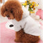 Cozy Woolly Sheep Pet Costume - Dog Hugs Cat