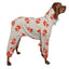 Cozycanine High Collar Printed Pet Four - Legged Suit - Dog Hugs Cat