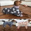 Cozycanine High Collar Printed Pet Four - Legged Suit - Dog Hugs Cat