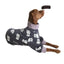 Cozycanine High Collar Printed Pet Four - Legged Suit - Dog Hugs Cat