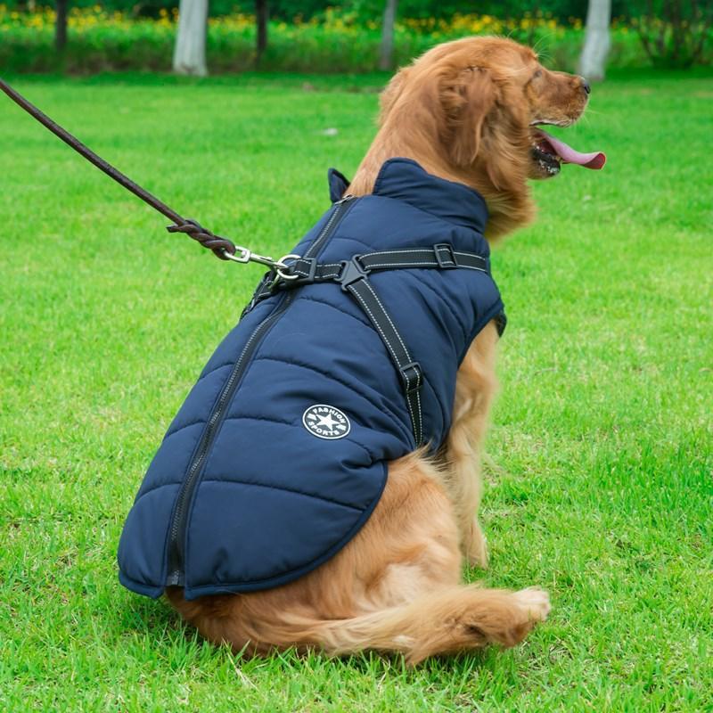 Cozycanine Integrated Cotton Vest - Stylish Winter Apparel For Dogs - Dog Hugs Cat