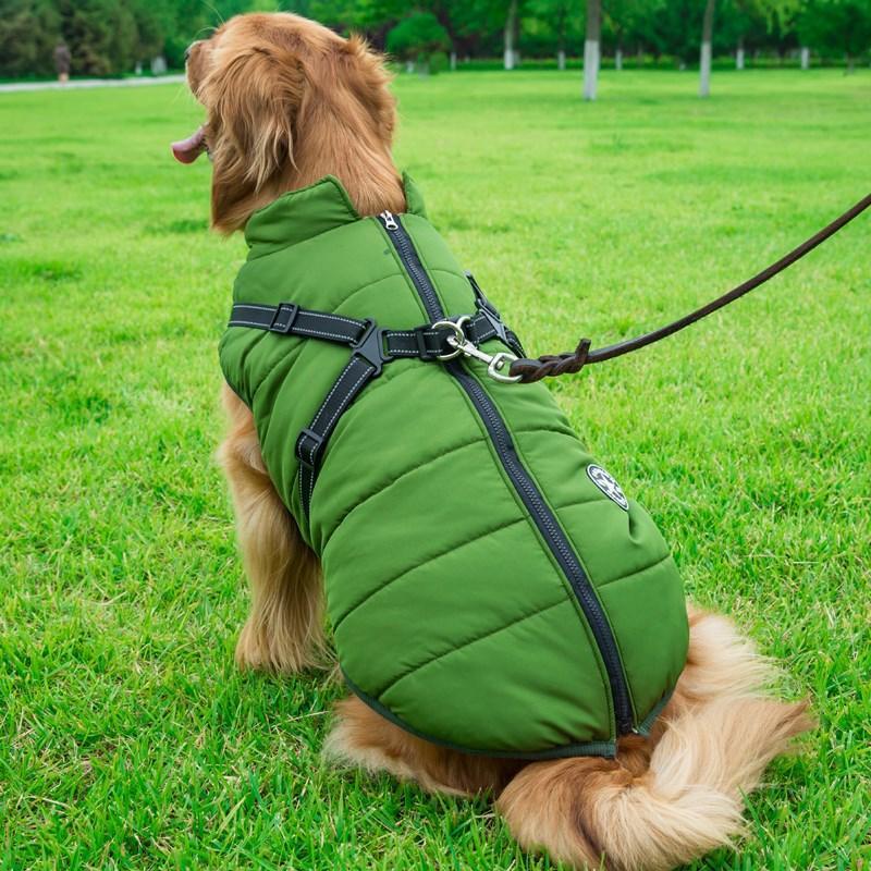 Cozycanine Integrated Cotton Vest - Stylish Winter Apparel For Dogs - Dog Hugs Cat