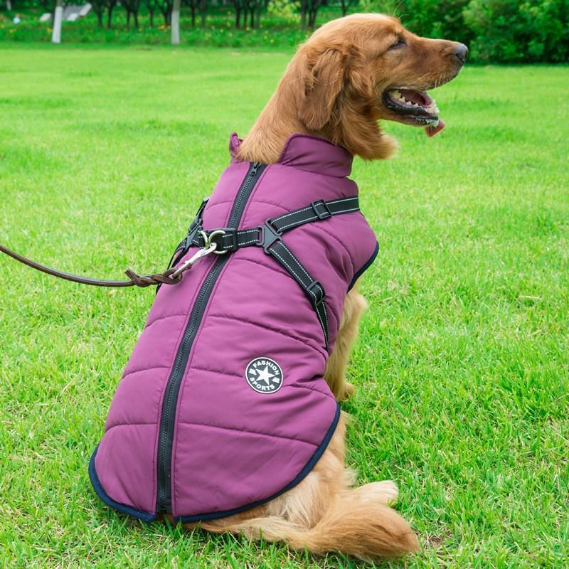 Cozycanine Integrated Cotton Vest - Stylish Winter Apparel For Dogs - Dog Hugs Cat