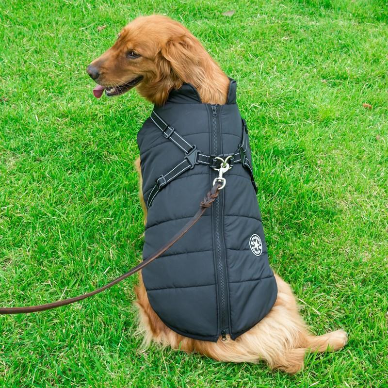 Cozycanine Integrated Cotton Vest - Stylish Winter Apparel For Dogs - Dog Hugs Cat