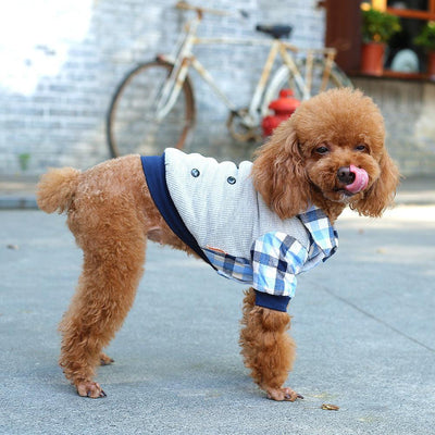 Cozycanine Pet Apparel: Stylish And Comfortable Dog Clothing - Dog Hugs Cat