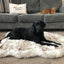 Cozycanine Plush Dog Bed - Luxurious Beige Mat For Restful Pet Sleep - Dog Hugs Cat