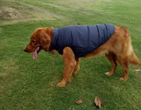 Cozycanine Waterproof Pet Jacket: Stylish Outdoor Attire For Your Furry Friend - Dog Hugs Cat