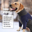 Cozycanine Winter Fleece Dog Coat - Stay Warm And Stylish All Season Long! - Dog Hugs Cat