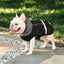 Cozycanine Winter Warmer Vest - Dog Hugs Cat