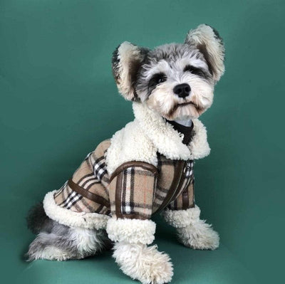 Cozycanine Winterwear: Luxuriously Thickened Dog Clothing For Extra Warmth - Dog Hugs Cat