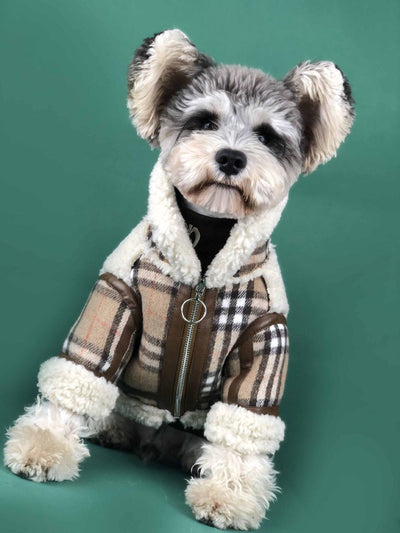 Cozycanine Winterwear: Luxuriously Thickened Dog Clothing For Extra Warmth - Dog Hugs Cat