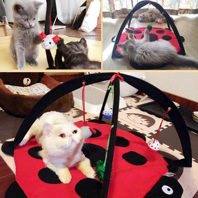 Cozycat Foldable Cartoon Cat Play Tent Hammock: The Ultimate Cat Haven - Dog Hugs Cat