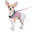 Cozycat Hooded Vest Leash & Harness Combo - Dog Hugs Cat