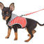 Cozycat Hooded Vest Leash & Harness Combo - Dog Hugs Cat