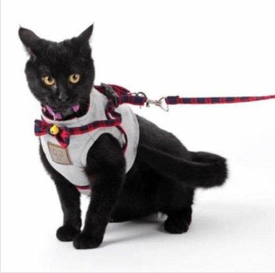 Cozycat Knitted Fabric Cat Harness Set - Dog Hugs Cat