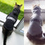 Cozyguard Pet Sweater: Warm Fleece Security For Your Furry Friend - Dog Hugs Cat