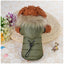 Cozypaws Cotton - Infused Pet Down Jacket: Ultimate Comfort And Warmth - Dog Hugs Cat