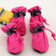 Cozypaws Deluxe Reflective Dog Shoes: Keep Your Pup's Feet Warm And Dry - Dog Hugs Cat