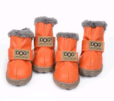 Cozypaws Dog Snow Boots: Stylish And Warm Footwear For Your Furry Friend - Dog Hugs Cat