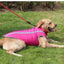 Cozypaws Winter Adventure Dog Jacket - Dog Hugs Cat