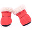 Cozypaws Winter Paw Protectors - Dog Hugs Cat